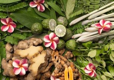 Ayurveda otlar. Hindistan. 2017