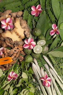 Ayurveda otlar. Hindistan. 2017