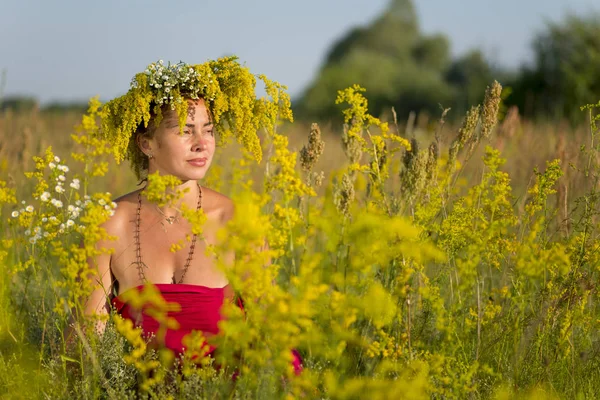 草原の花の中で少女 — ストック写真