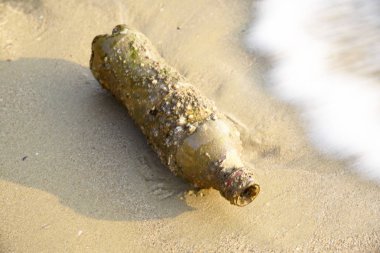 Okyanusta kabuklarla kaplı eski bir plastik şişe.