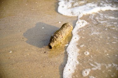 Okyanusta kabuklarla kaplı eski bir plastik şişe.