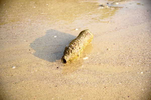 Old Plastic Bottle Covered Shells Ocean — Stock Photo, Image