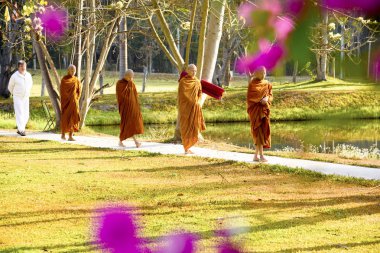 bir Budist manastırında meditasyon, Tayland, Wat Luang, Nisan 2019