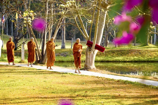 Meditazione Monastero Buddista Thailandia Wat Luang Aprile 2019 — Foto Stock