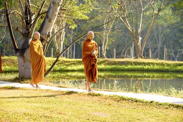 Meditáció Egy Buddhista Kolostor Thaiföld Wat Luang Április 2019 — Stock Fotó