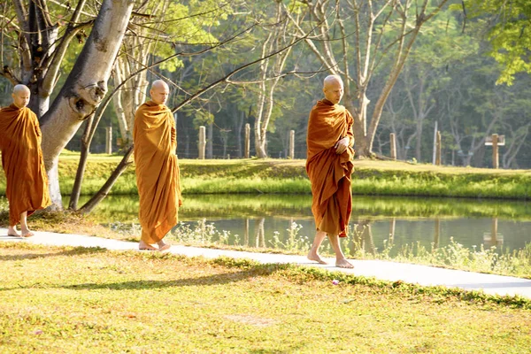 Meditáció Egy Buddhista Kolostor Thaiföld Wat Luang Április 2019 — Stock Fotó