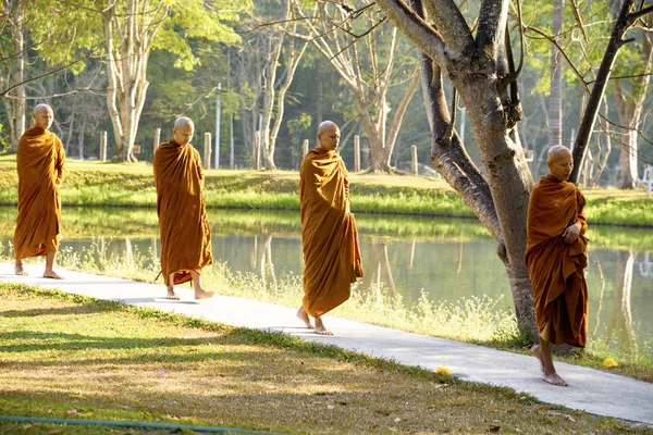 Медитация Буддийском Монастыре Таиланд Ват Луанг Апрель 2019 — стоковое фото