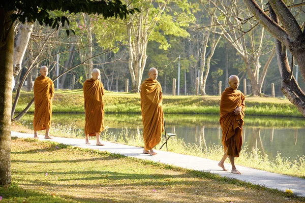 Медитація Буддійському Монастирі Таїланд Ват Луанг Квітень 2019 — стокове фото