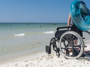 Çiçekte uğur böceği, papatya çiçeğinde uğur böceği