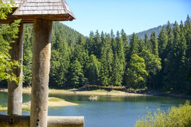 Synevyr Gölü, Ukrayna. Transkarpat bölgesi. Mayıs 2017