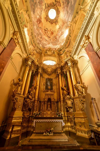 Katolska Katedralen Yuri Lviv Ukraina Augusti 2016 — Stockfoto