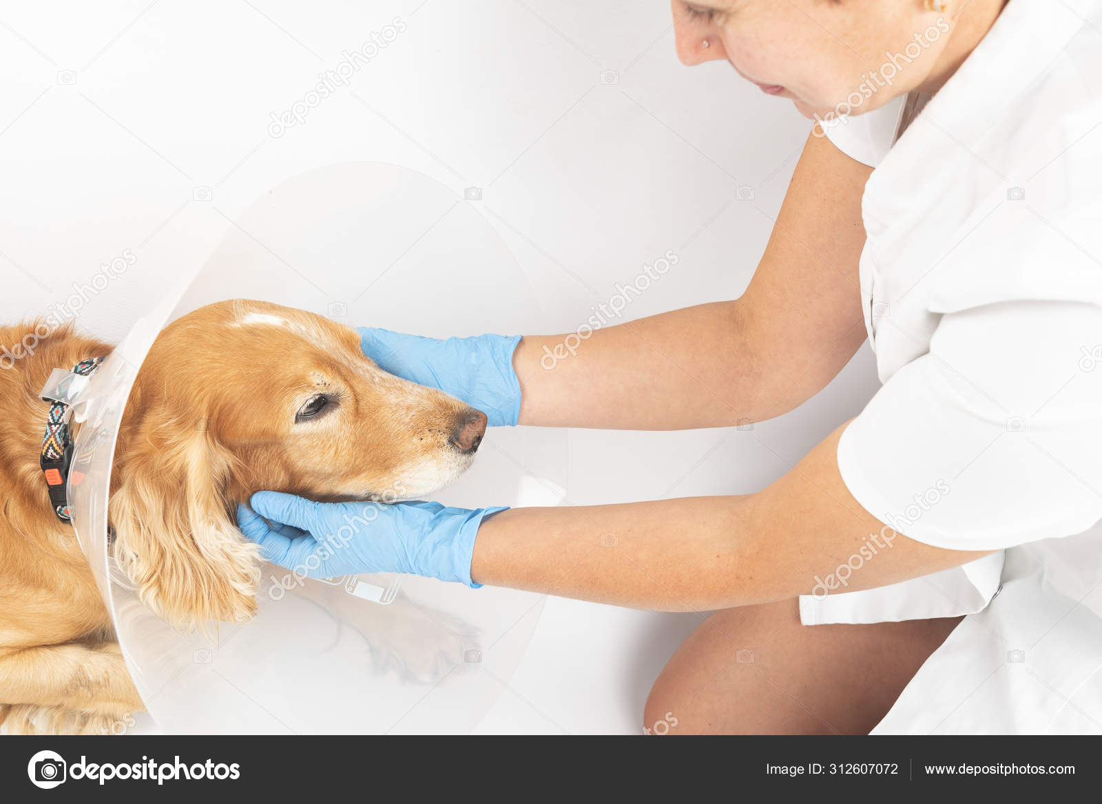 Do Umbilical Hernias In Puppies Go Away