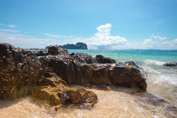 Warm Sea Tropical Paradise Background — Stock Photo, Image
