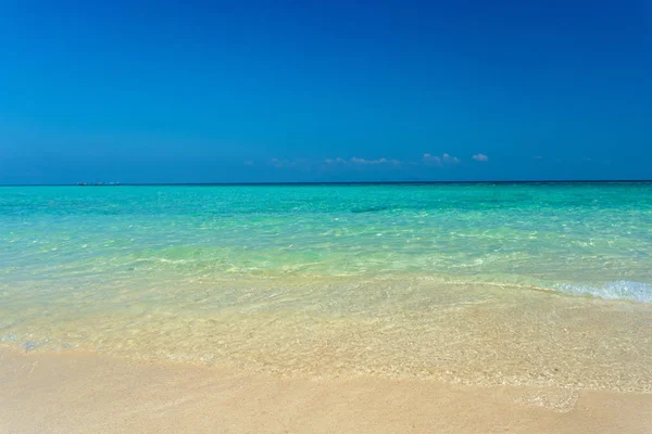 Mar Caliente Con Fondo Tropical Paradise — Foto de Stock