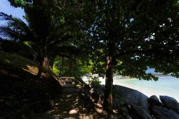 Mar Caliente Con Fondo Tropical Paradise — Foto de Stock