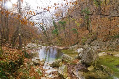 Nehir vahşi sonbahar Dağları arka planda