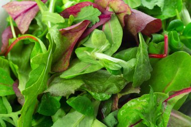 Yeşillik vurdu makroyu oluşturan yakın bırakır