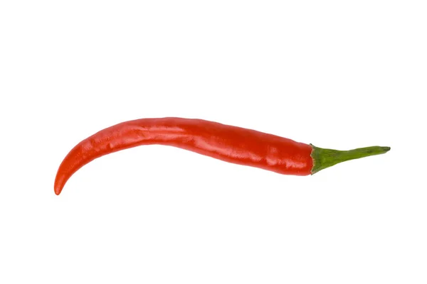 Hot Pepper Isolated White — Stock Photo, Image