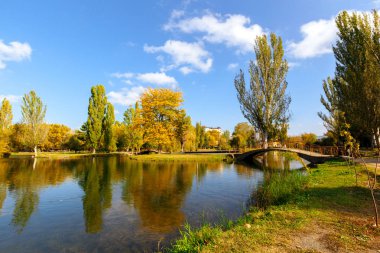 Gündüz sarı ağaçları ile sonbahar park bırakır