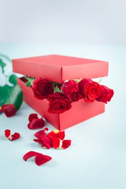 Sevgililer günü tebrik kartı kırmızı güllü