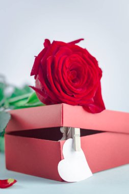 Sevgililer günü tebrik kartı ile kırmızı gül