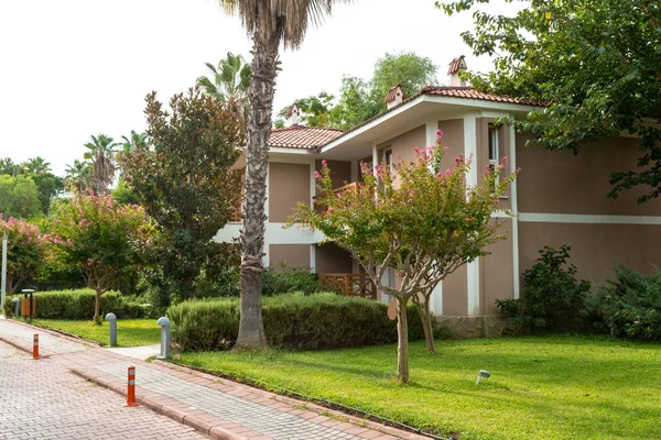 Giardino Con Belle Piante Tropicali Verdi Vicino Casa — Foto Stock