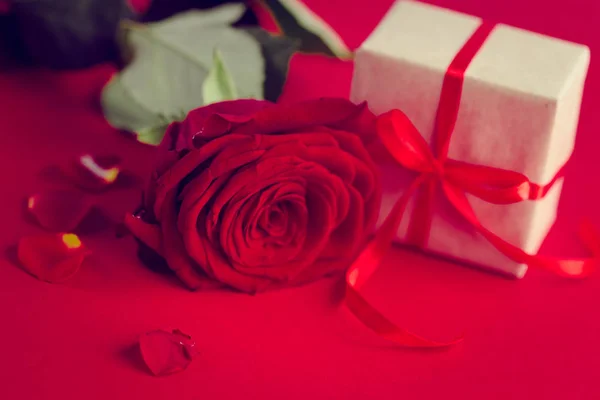 Carte Voeux Saint Valentin Avec Rose Rouge — Photo