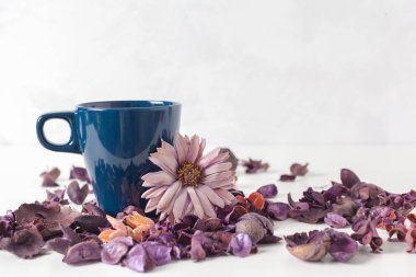 narin sabah çay Tablo ayarı