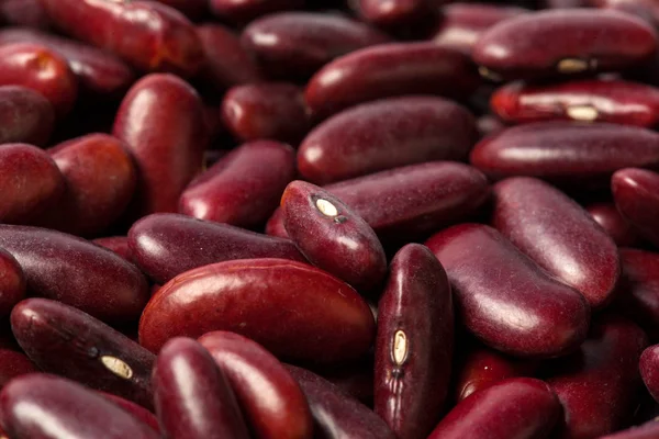 Red Beans Macro Background — Stock Photo, Image