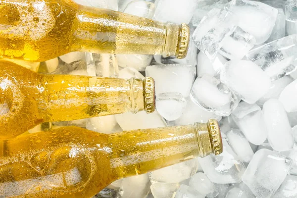 Bottles of cold and fresh beer with ice cubes