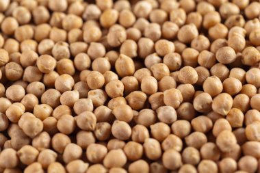 Soya Fasulye makro arka plan