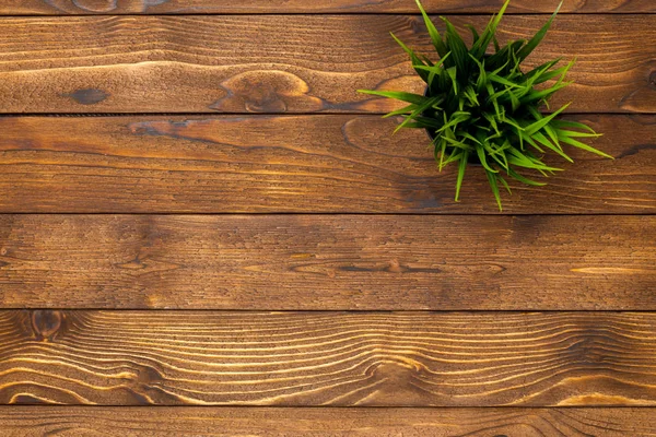 Potted Grass Flower Wooden Table — Stock Photo, Image
