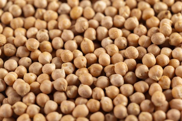 Soya Fasulye makro arka plan