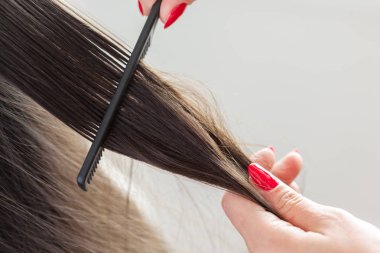 Kadın bir saç kesimi yok, yakın çekim