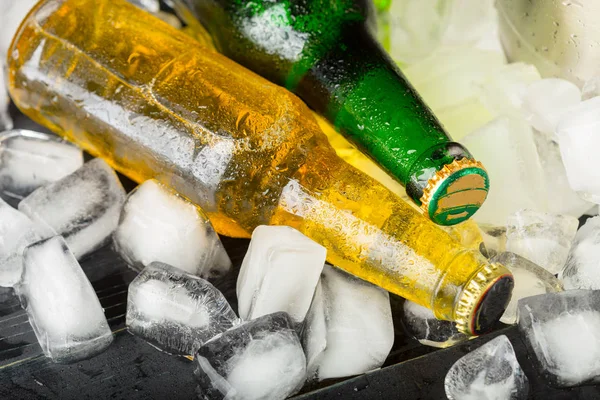 Close Beer Bottles Ice Cubes — Stock Photo, Image