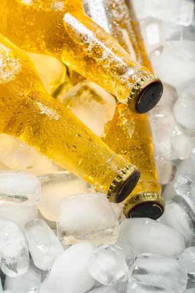 Bottles of cold and fresh beer with ice cubes