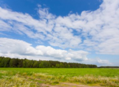 yeşil tarla ve mavi gökyüzü
