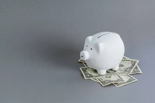 Weißes Sparschwein Und Uns Dollars Auf Grauem Tisch — Stockfoto