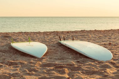 Kum Plajı üzerinde sörf tahtaları. Doğa