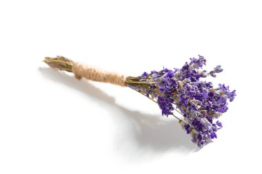 Lavanta çiçekleri beyaz zemin üzerine izole yakın çekim 