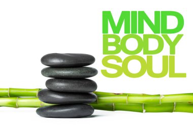 Spa sağlıklı doğal kavramı