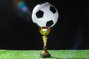 Futbol Kupası futbol topuyla çimenlerin üzerinde