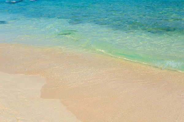 Tropikal güzel deniz Paradise.