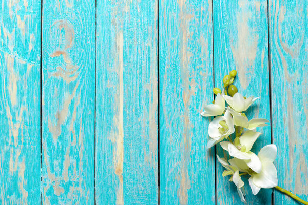 Beautiful fresh flower on wooden table, top view