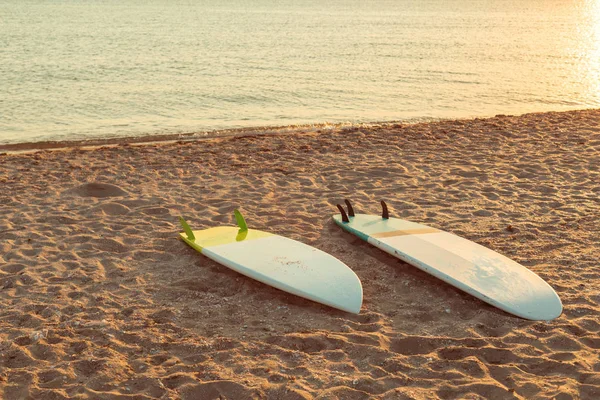 Surfboards Beach Nature Travel — Stock Photo, Image