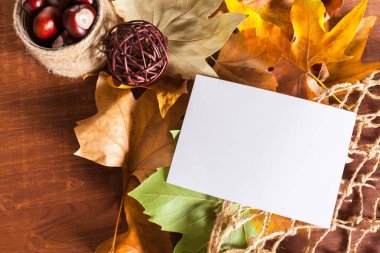 Sonbahar yaprakları ve beyaz kart, kapat