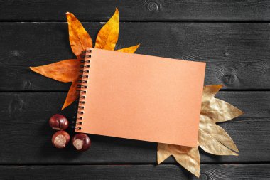 Sonbahar çevrili boş defter bırakır