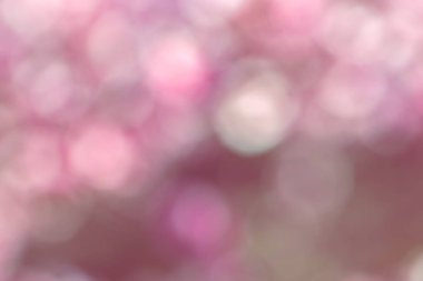 Pembe bahar arka plan bokeh ile