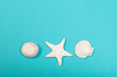 Tropikal arka plan. Deniz kabuğu renkli moda modern arka plan üzerinde.