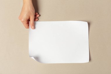 Kağıtları a4 boyutunda tutan el